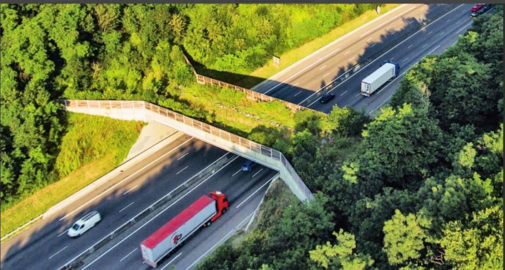 Passage destiné à la faune sauvage