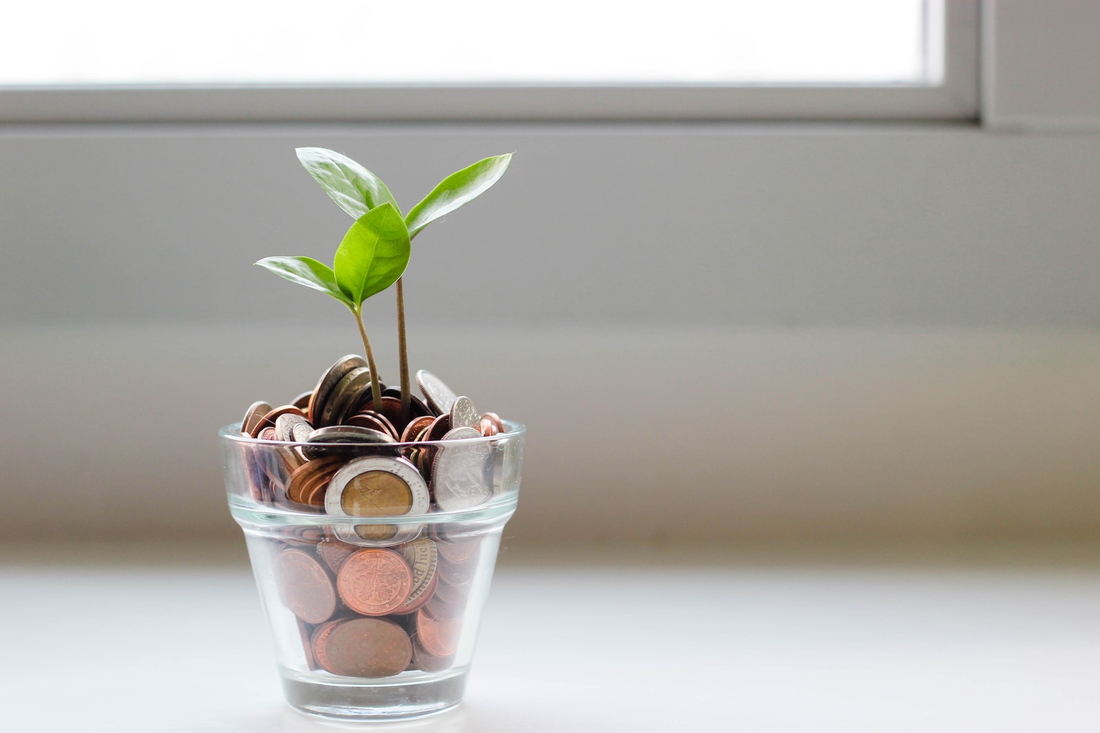 Une plante qui pousse dans un verre de pièces de monnaie.